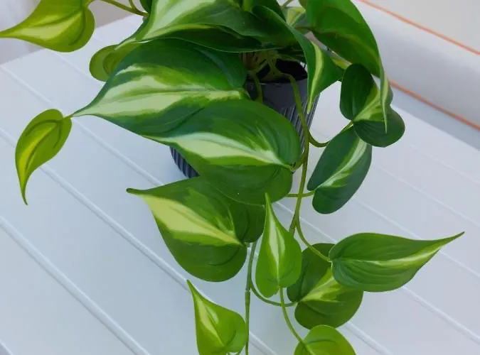 Nefeli Seaside Elegant Near The *