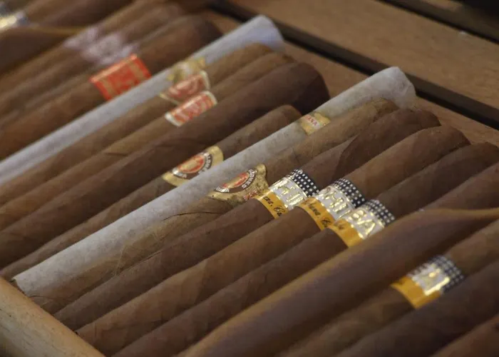 Nefeli Seaside Elegant Near The Lejlighed Polychrono