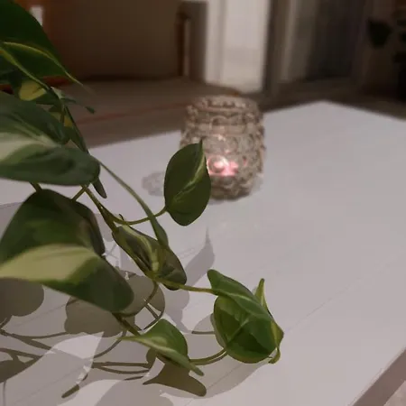 Nefeli Seaside Apartment Polychrono