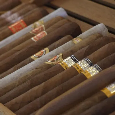 Nefeli Seaside Apartment Polychrono