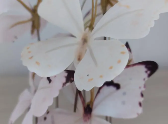 Nefeli Seaside Elegant Near The Apartamento *